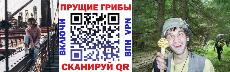 Купить  Усть-Кут  Галлюциногенные грибы ЛСД 