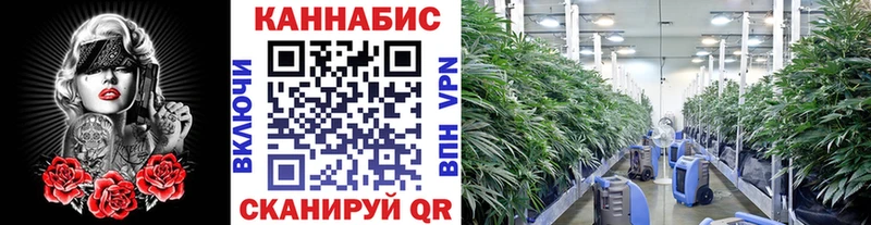 Купить закладки Усть-Кут Конопля гибрид